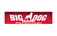 Big Dog